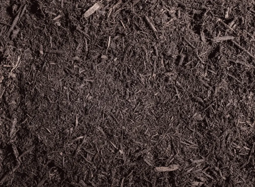 Screenshot 2025-03-10 at 3.15.21 PM.webp