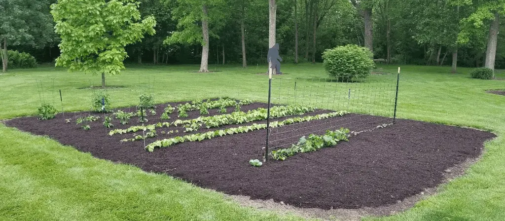 Screenshot 2023-03-12 at 4.17.32 PM.webp