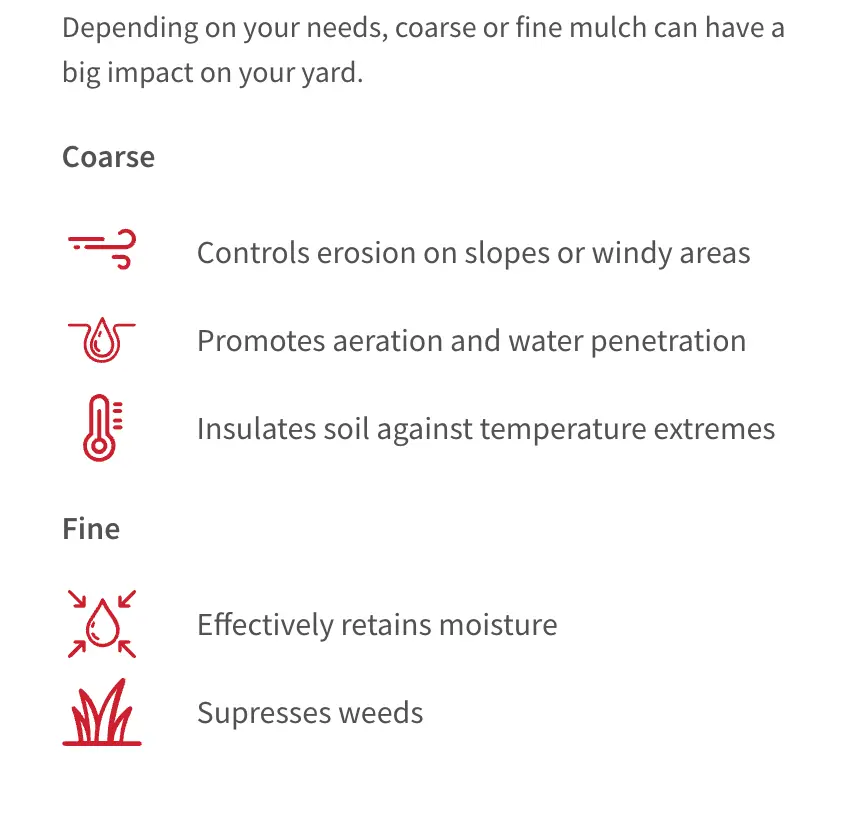 Screenshot 2025-03-10 at 4.13.53 PM.webp