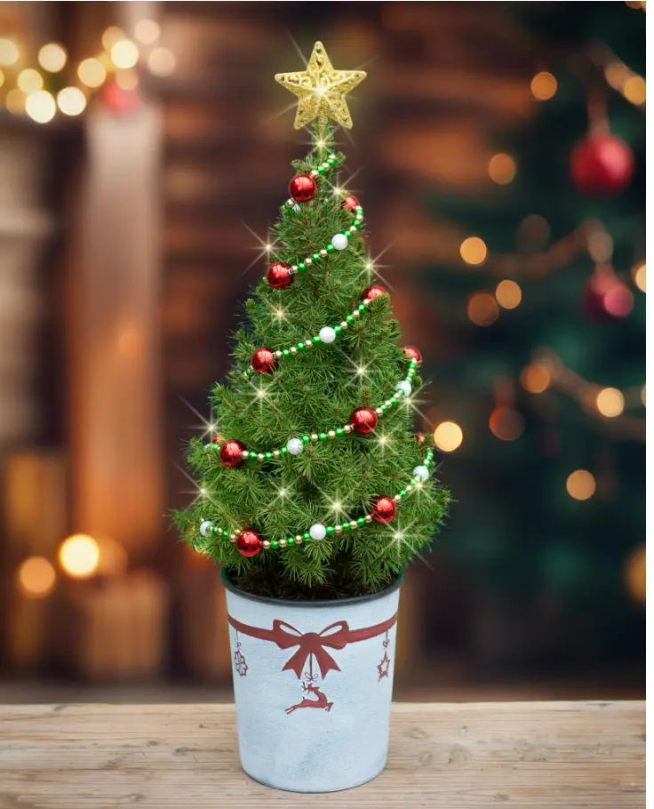 22" Tabletop Christmas Tree